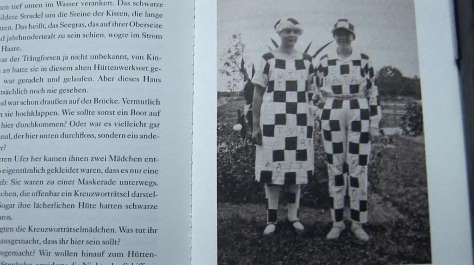 lars_gustafsson-irene_im_kreuzwortraetselkostuem